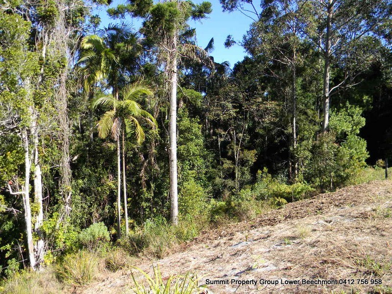 16 Hellfire Pass, Lower Beechmont QLD 4211