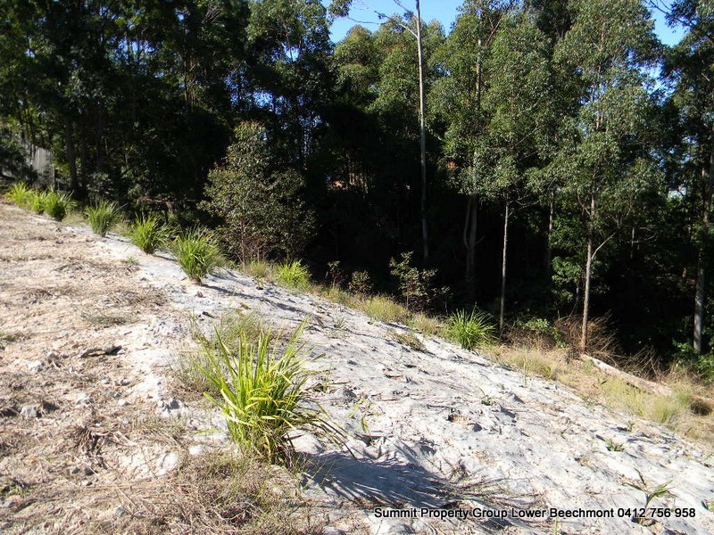 16 Hellfire Pass, Lower Beechmont QLD 4211