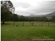 35 Tucker Lane, Canungra QLD 4275