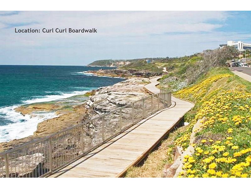 37/4 Beach Street, Curl Curl NSW 2096