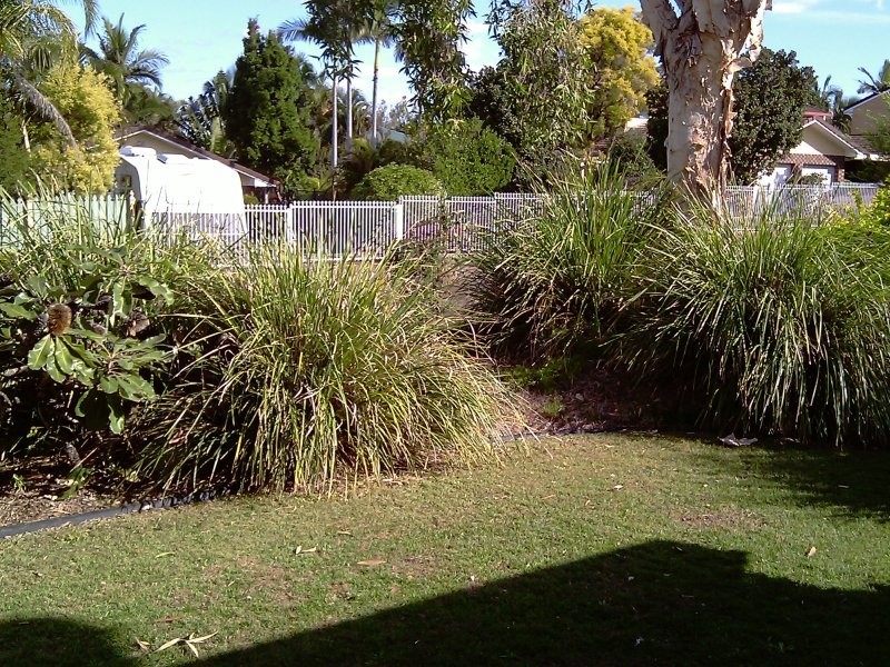 18 Verdelho St, Eight Mile Plains QLD 4113