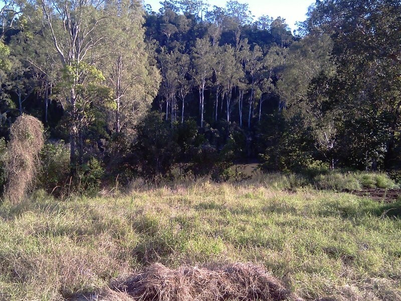 17 Kallatina Terrace, Karalee QLD 4306