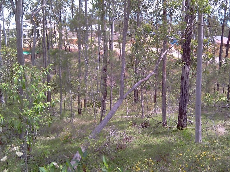 10 Lilley Terrace, Chuwar QLD 4306