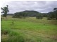 Lot 52/846 Bucketts Way, Stroud Road NSW 2415