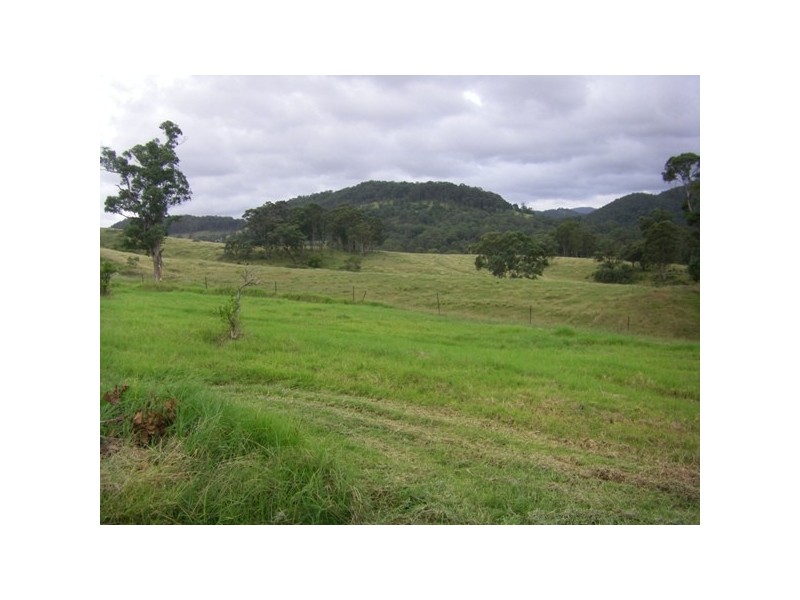Lot 52/846 Bucketts Way, Stroud Road NSW 2415