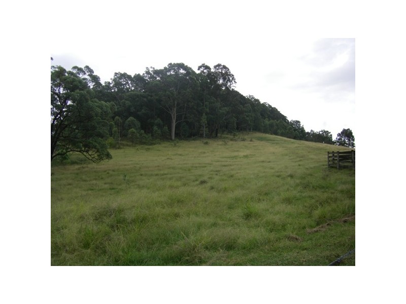 Lot 52/846 Bucketts Way, Stroud Road NSW 2415