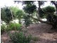 44 Berkeley St, Stroud NSW 2425