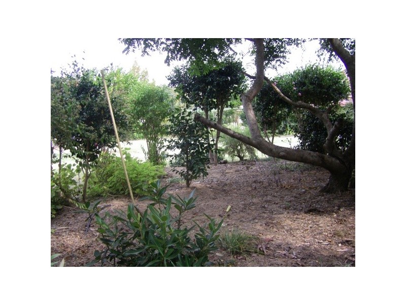 44 Berkeley St, Stroud NSW 2425