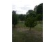 44 Berkeley St, Stroud NSW 2425