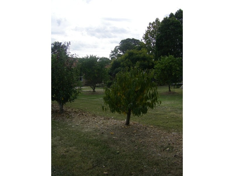 44 Berkeley St, Stroud NSW 2425