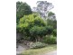 44 Berkeley St, Stroud NSW 2425