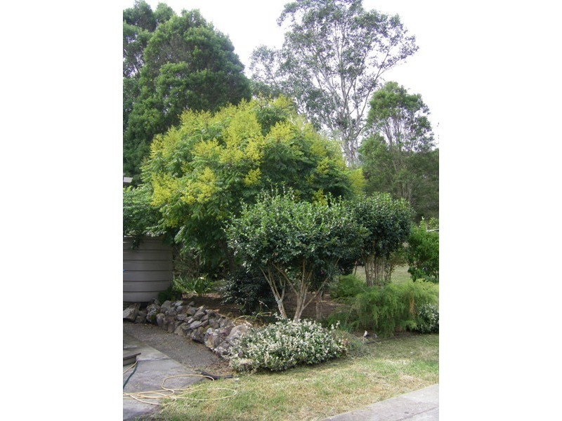 44 Berkeley St, Stroud NSW 2425