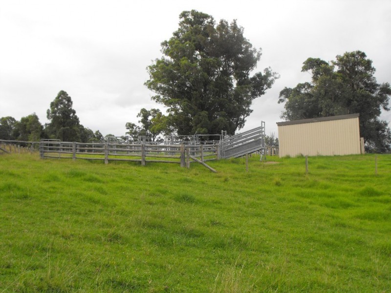 733 Washpool Rd, Stroud NSW 2425