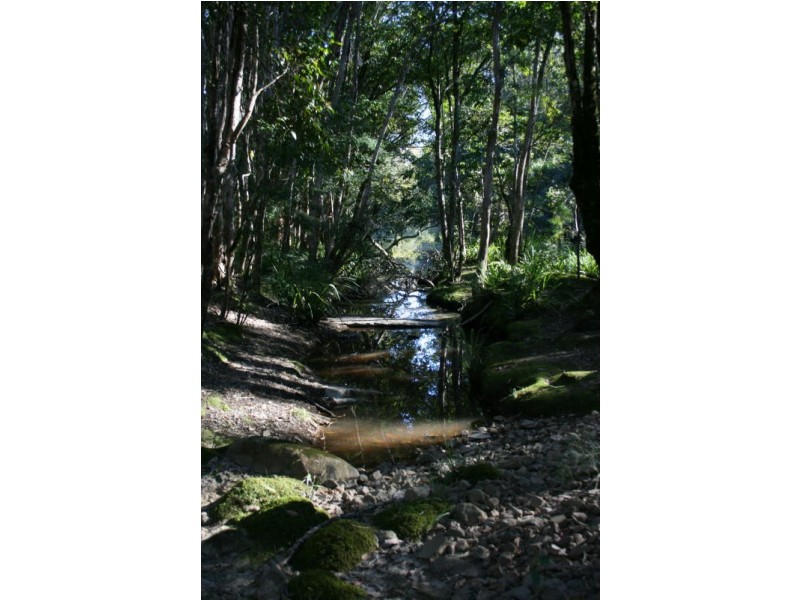 622 The Branch Lane, THE BRANCH Via, Stroud NSW 2425