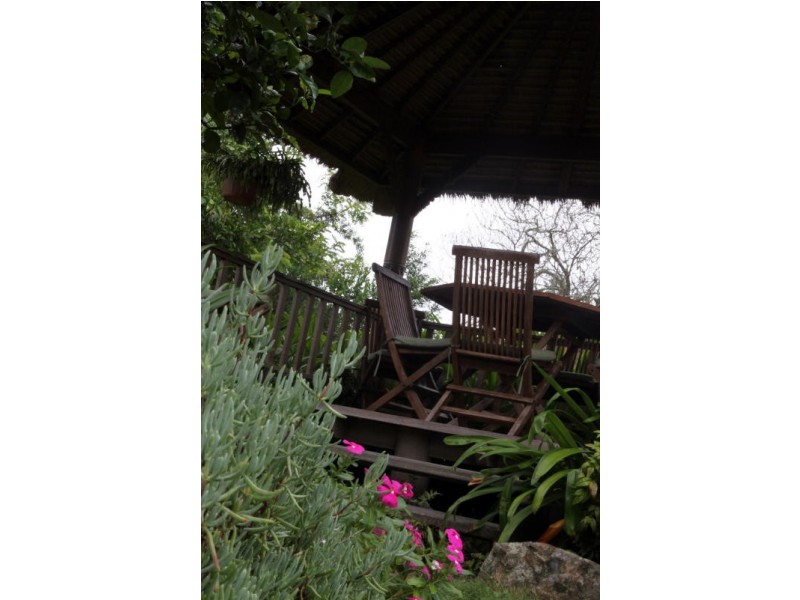 17 Cowper St, Stroud NSW 2425