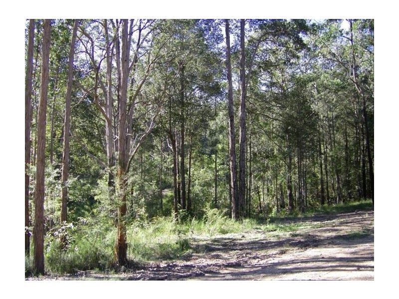 Lot 2 Off Mill Creek Rd, Stroud NSW 2425
