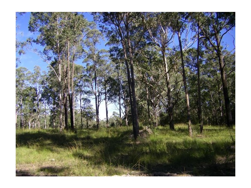 Lot 2 Off Mill Creek Rd, Stroud NSW 2425