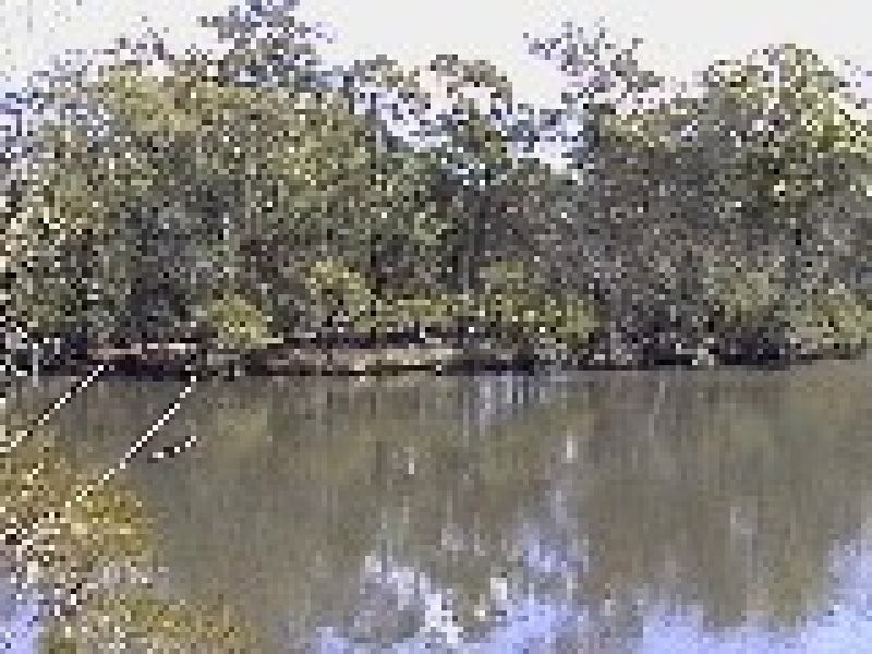 75 Larpent ave, THE BRANCH Via, Stroud NSW 2425