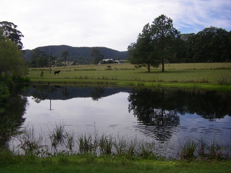 37 Terreel Rd, WARDS RIVER Via, Stroud NSW 2425