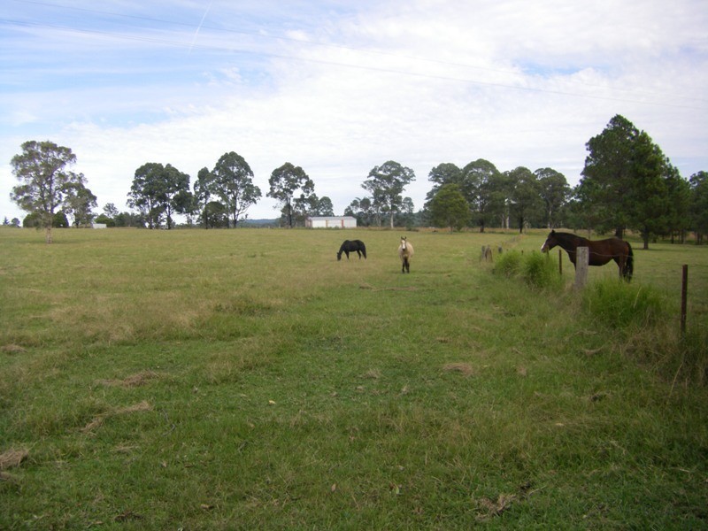 37 Terreel Rd, WARDS RIVER Via, Stroud NSW 2425