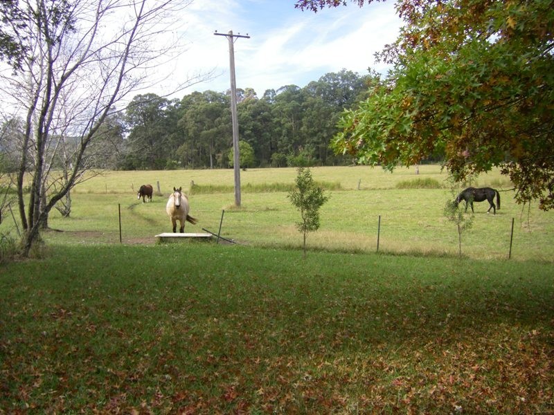 37 Terreel Rd, WARDS RIVER Via, Stroud NSW 2425