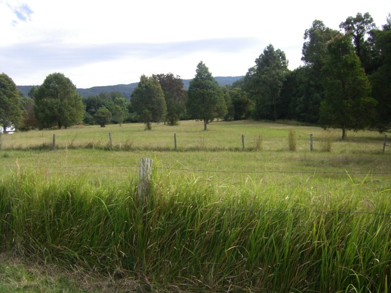 37 Terreel Rd, WARDS RIVER Via, Stroud NSW 2425