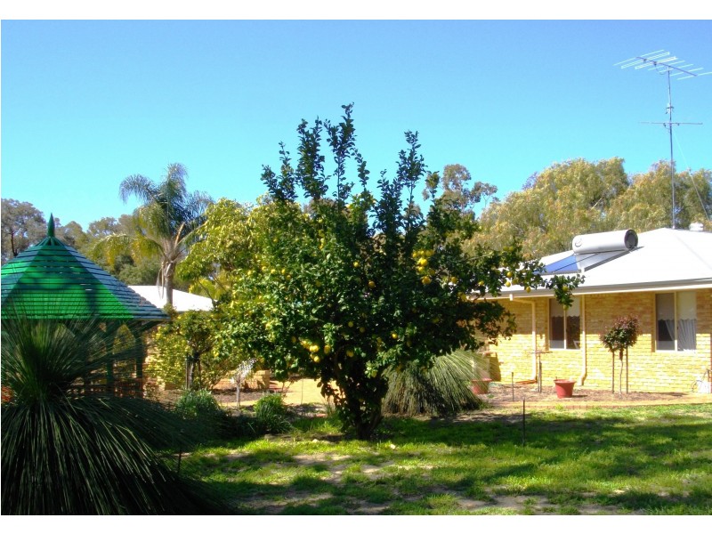 9 Honeytree Place, Falcon WA 6210
