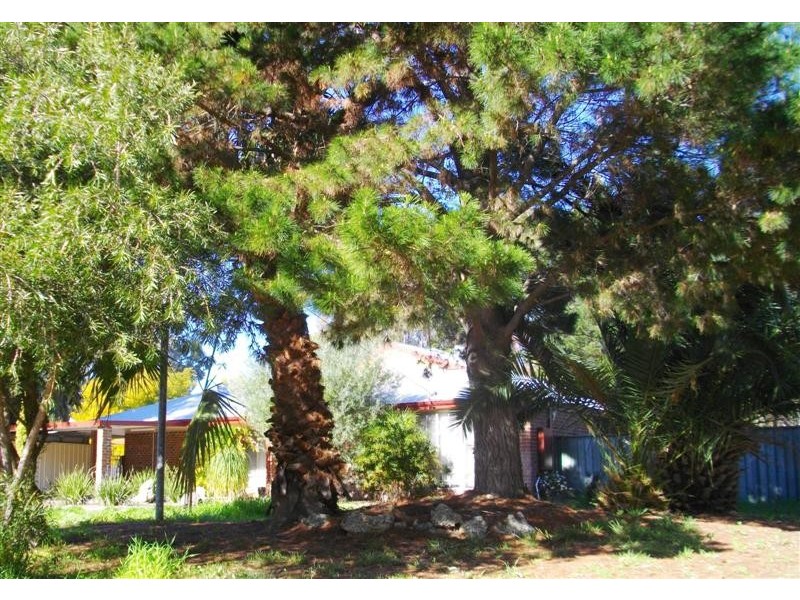 3 Navarre Rowe, Greenfields WA 6210
