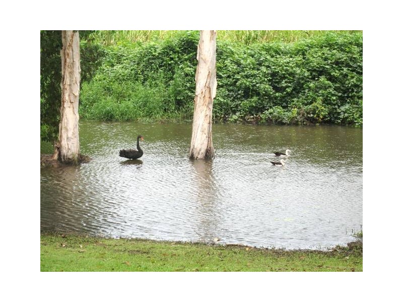 Jabiru 1, Wonga Beach QLD 4873