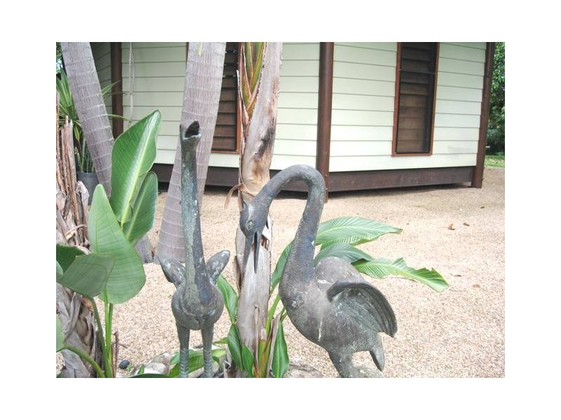 2 Jabiru, Wonga Beach QLD 4873