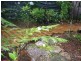 1 Fullmoon Terraces, Port Douglas QLD 4877