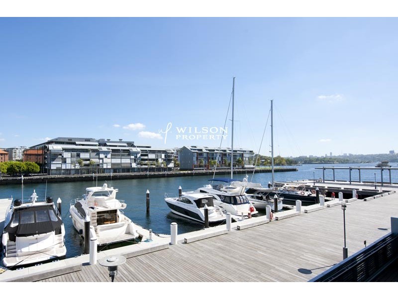 41/56 Pirrama Road, Pyrmont NSW 2009