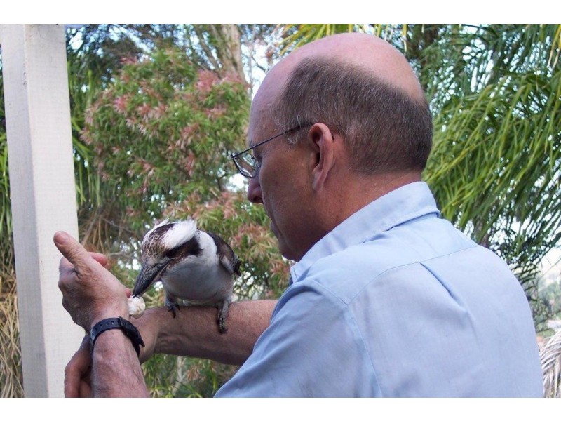 20 Karawatha Street, Buderim QLD 4556