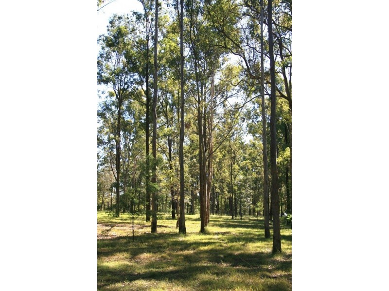 4 Middle Creek Road, Coutts Crossing NSW 2460