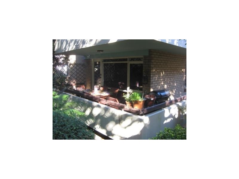 3/17 William Street, Randwick NSW 2031