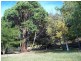 34 Collins Cap Road, Collinsvale TAS 7012