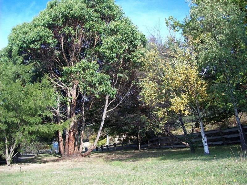 34 Collins Cap Road, Collinsvale TAS 7012