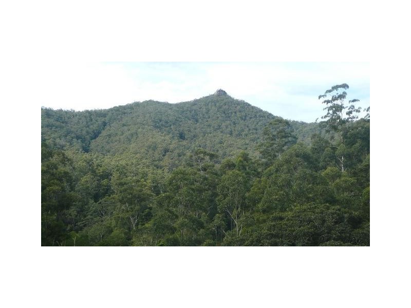 525 Bulli Creek Road, Byabarra NSW 2446