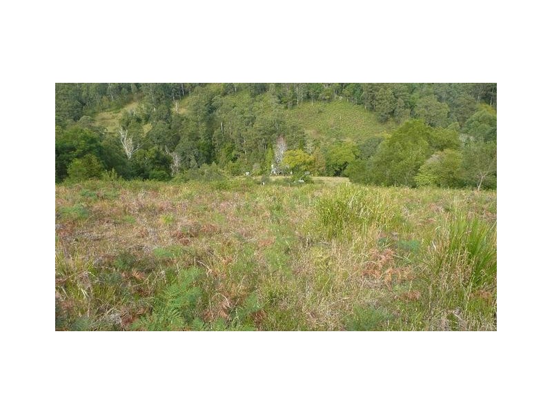 525 Bulli Creek Road, Byabarra NSW 2446