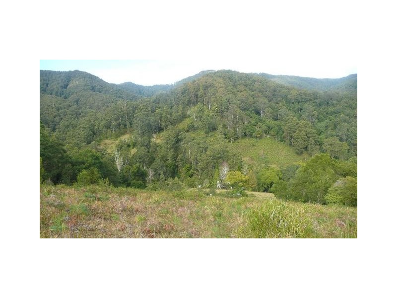 525 Bulli Creek Road, Byabarra NSW 2446