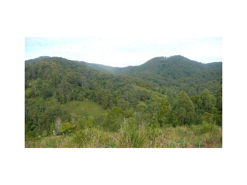 525 Bulli Creek Road, Byabarra NSW 2446