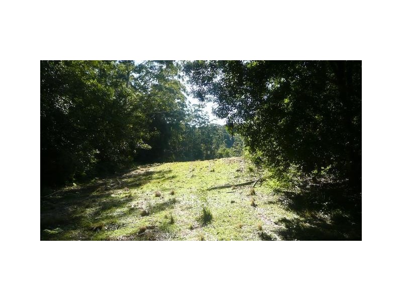 525 Bulli Creek Road, Byabarra NSW 2446