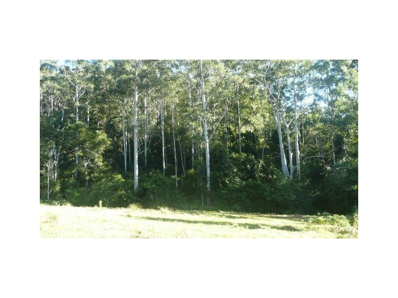 525 Bulli Creek Road, Byabarra NSW 2446