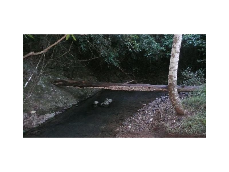 525 Bulli Creek Road, Byabarra NSW 2446