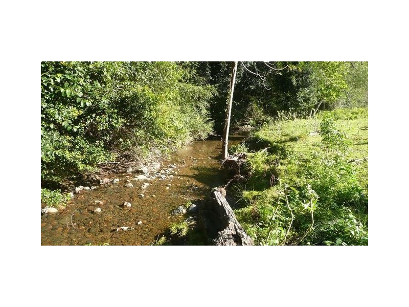 525 Bulli Creek Road, Byabarra NSW 2446