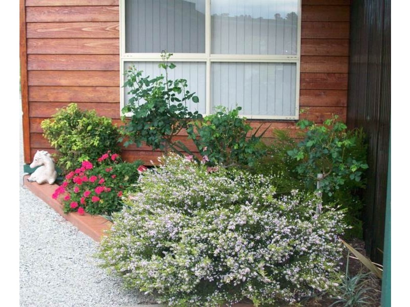 13 Scobie Street South, Avenel VIC 3664