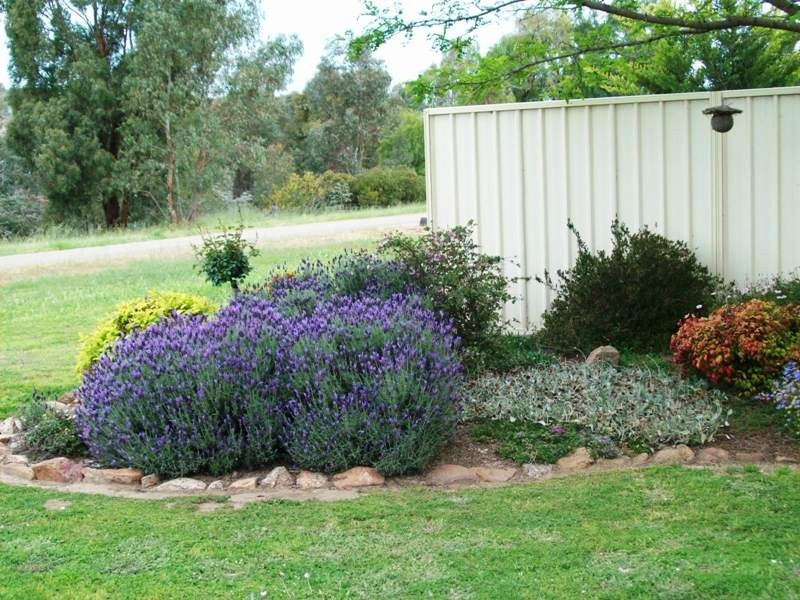 13 Scobie Street South, Avenel VIC 3664