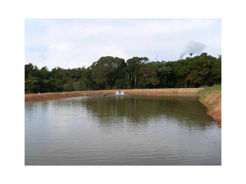 168 Stoney Creek Road, Kuranda QLD 4881