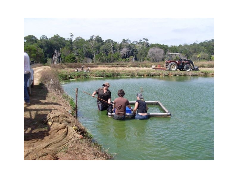 168 Stoney Creek Road, Kuranda QLD 4881