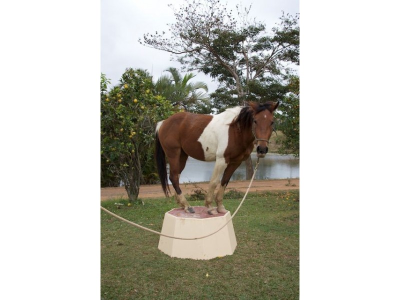 168 Stoney Creek Road, Kuranda QLD 4881